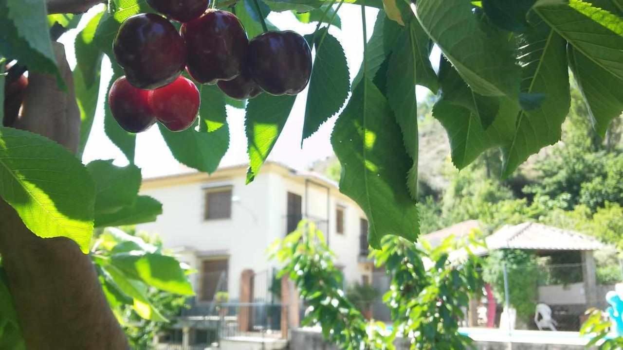 Huertas De Roque Holiday home