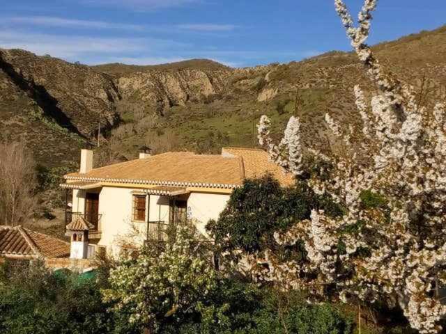 Huertas De Roque Holiday home Monachil
