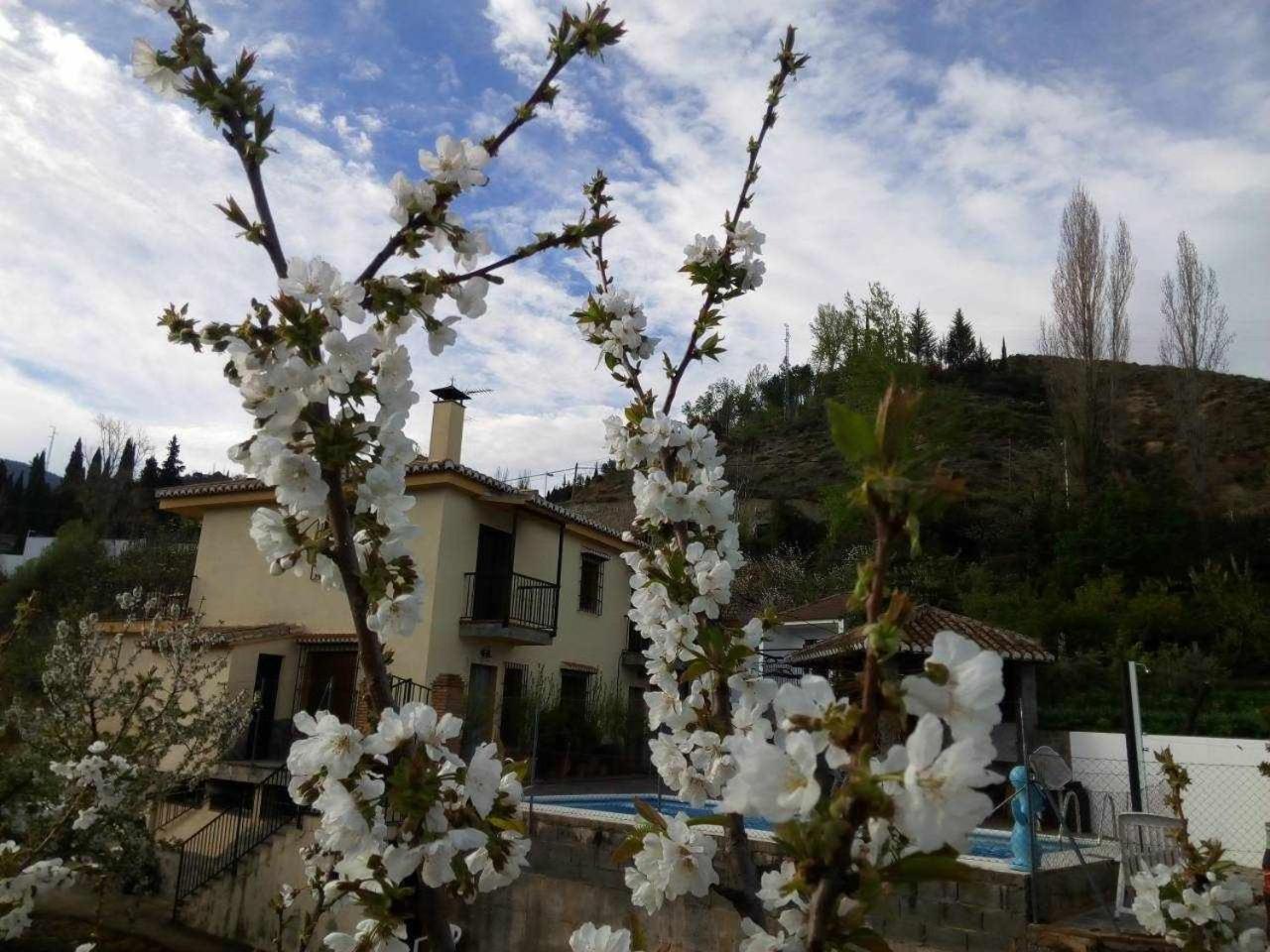 Huertas De Roque Holiday home