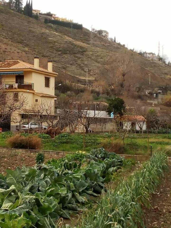 Holiday home Huertas De Roque *
